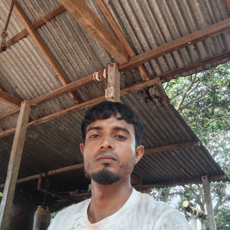 Juwel, 35, Feni
